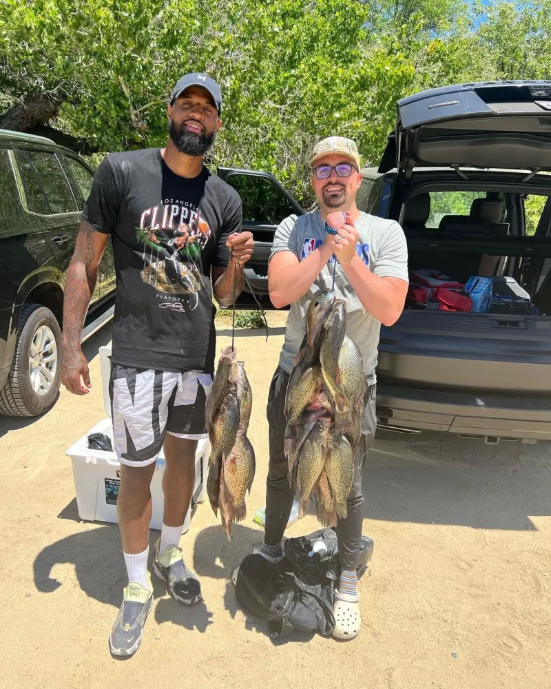 这些特质与 这些特质与